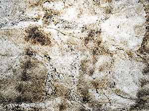 Skinrock Shining Tree – Translucent</br>Quartzite/Cleft Finish